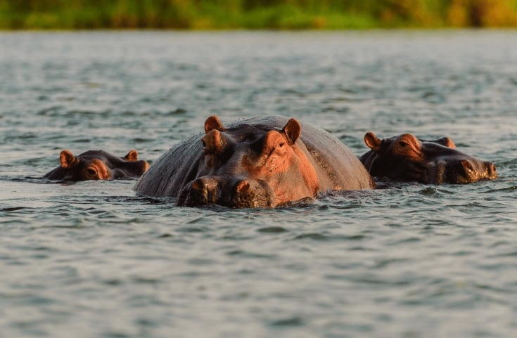 13 Days Best of Zimbabwe Safari Tour